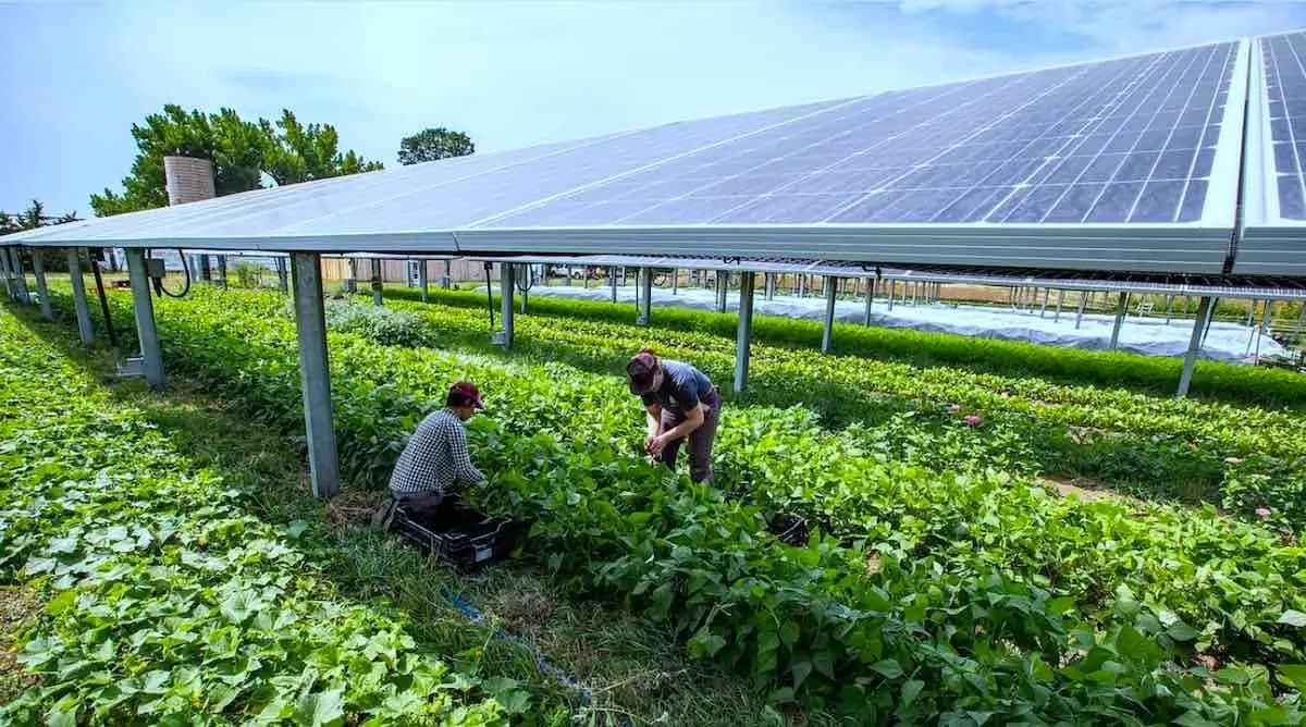 Fondul pentru Modernizare - Sprijinirea investițiilor în noi capacități de producere a energiei electrice produsă din surse regenerabele pentru autoconsumul întreprinderilor din cadrul sectorului agricol și industriei alimentare
